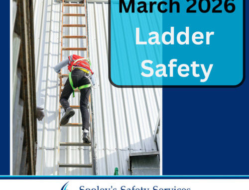 Assessing Ladder Safety Concerns in the Workplace